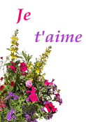 Bouquet florissant pour d&eacute;clarer mon amour
